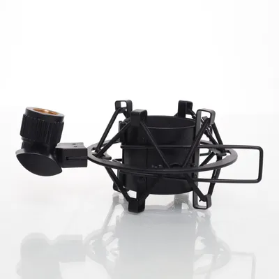 Microfoon accessoire (Zwart)