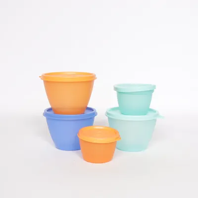 Storage (Multicolored) from Tupperware