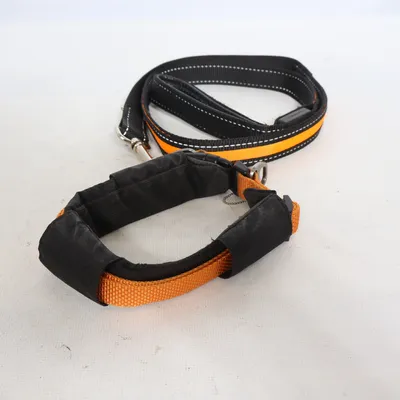 Hundtillbehör (Svart, Orange) från Dogman