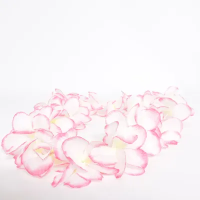Kostumetilbehør (Hvid, Pink)
