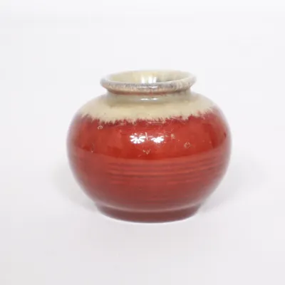 Vaas (Rood, Meerkleurig)