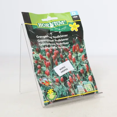 Zaden (Groen, Rood, Meerkleurig) van Dhorum