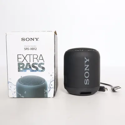 Haut-parleur Bluetooth (SRS-XB12) de Sony