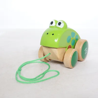 Træklegetøj (Grøn) fra Hape