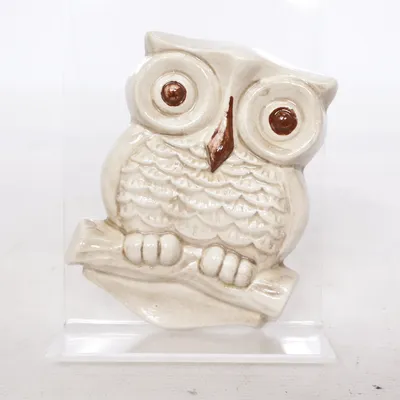 Väggdekoration (Beige) från Mateus