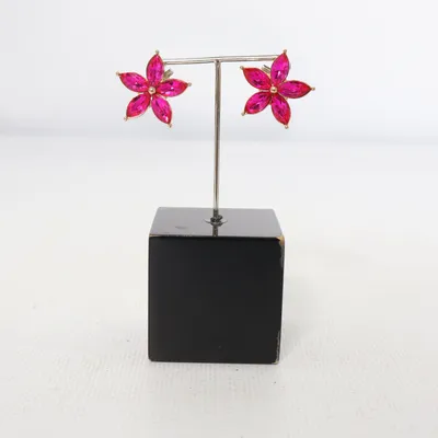 Boucles d'oreilles (Rose) Fer