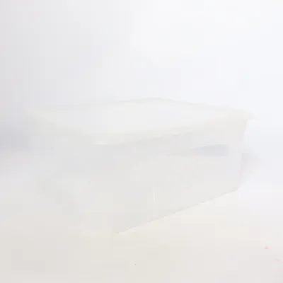 Storage box (Transparent) from Lidl