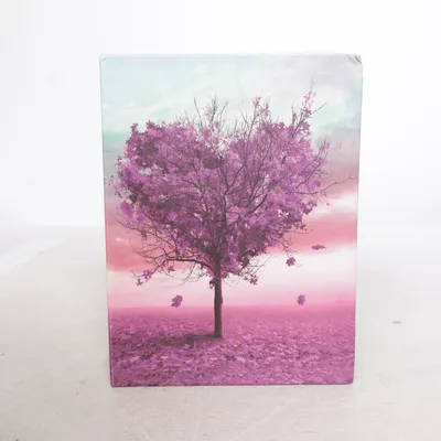 Fotoalbum (Wit, Meerkleurig)