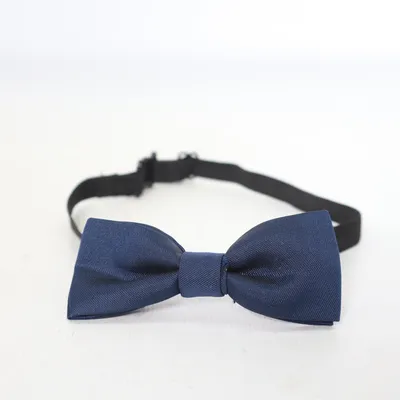 Noeud papillon (Bleu)