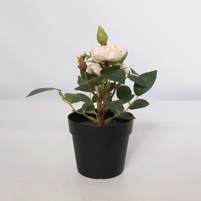 Artificial plant (Fejka) from IKEA