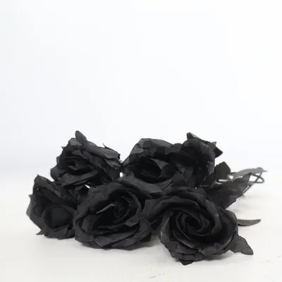 Artificial plant (Black)