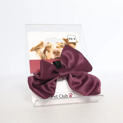 Dog accessory (Purple) from Pet Club