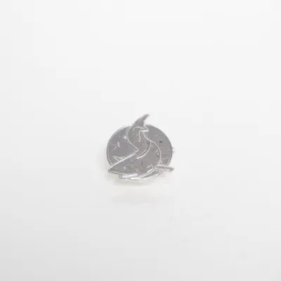 Brooch (Silver) Unknown metal
