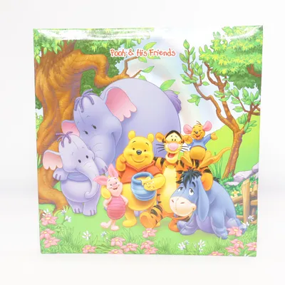 Fotoalbum (Grön, Rosa, Flerfärgad) från Disney