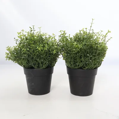 Plante artificielle (Fejka) de IKEA