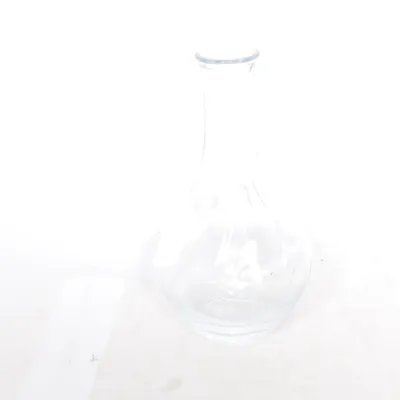 Vase (Transparent)