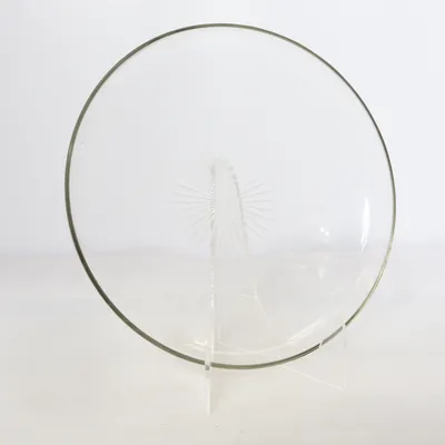 Serving bowl (Transparent)