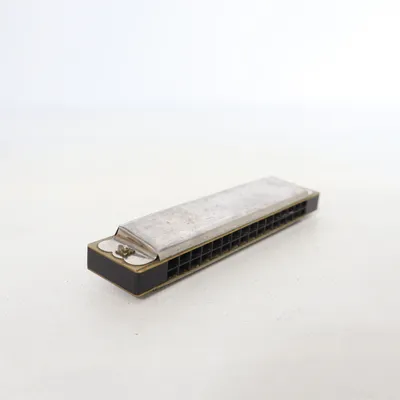 Harmonica (Silver) from Hohner