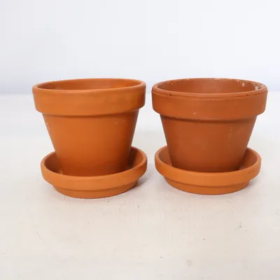 Pot (Marron)