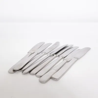 Kniv (Silverfärgad) från Gense Rostfritt stål