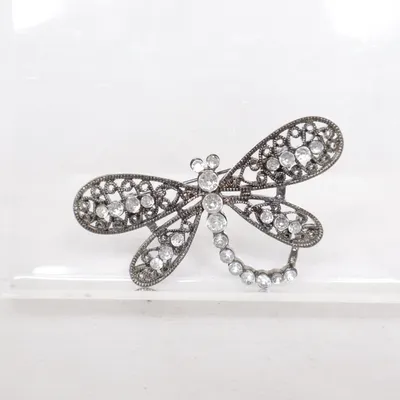 Broche (Zilver) Onbekend materiaal