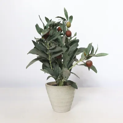 Plante artificielle (Vert, Marron)