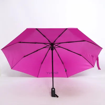 Parapluie (Violet) de Skiny