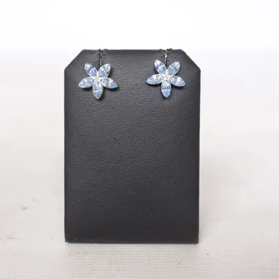 Boucles d'oreilles (Bleu) Métal inconnu