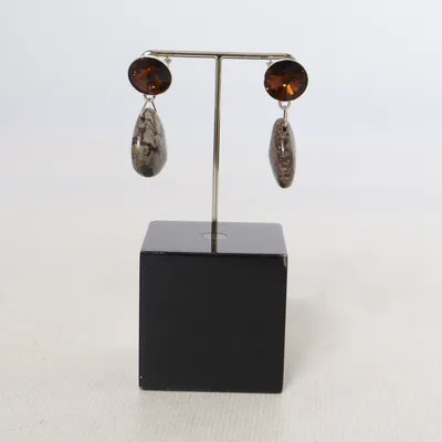 Oorbellen (Bruin, Zilver) Zilver
