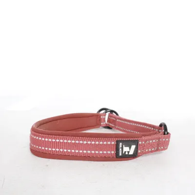 Hundhalsband (Röd) från Feel Active