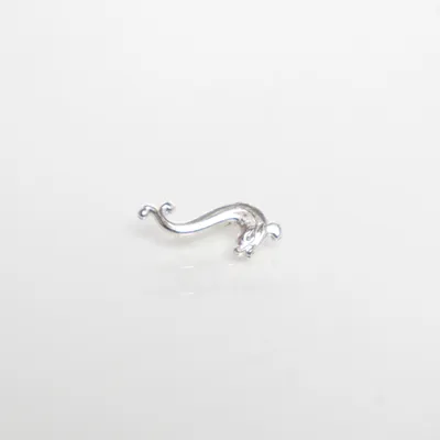 Broche (Zilver) Onbekend materiaal
