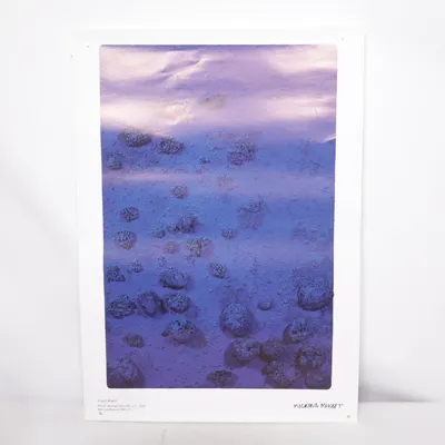 Poster från Moderna Museet