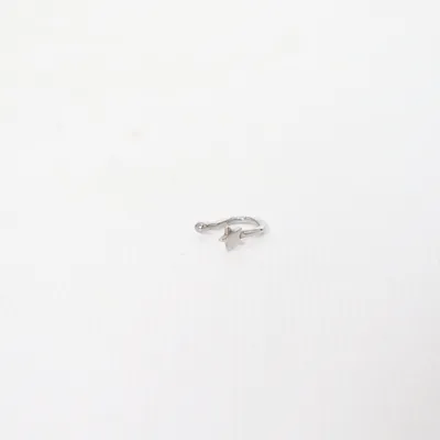 Piercingsmycke (Silverfärgad) Okänd metall