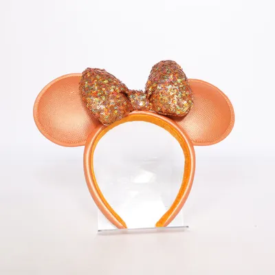 Costume accessories (Brown) from Disney