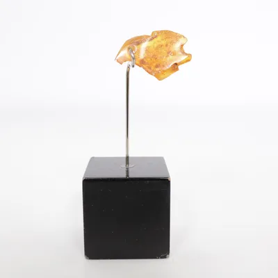 Hänge (Orange) Bärnsten