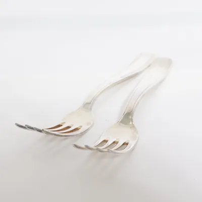 Vork (Zilver) van Cms