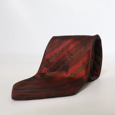 Tie (Red) from Carlo Palazzi Silk