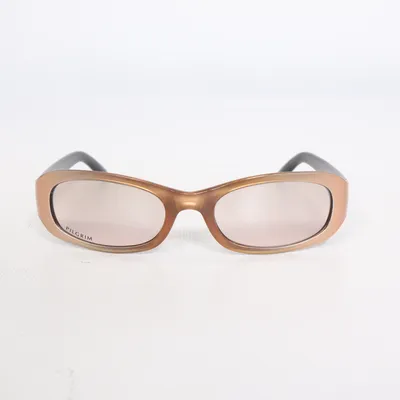 Lunettes de soleil (Marron, Noir) de Pilgrim