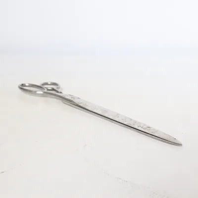 Ciseaux (Argent) de Bahco