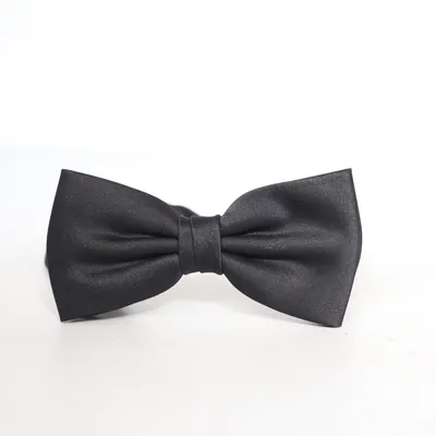 Noeud papillon (Noir) Polyester