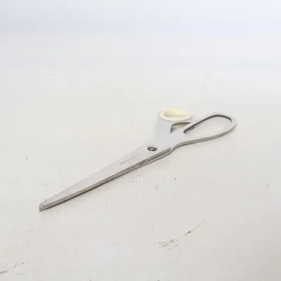 Schaar (Zilver) van Deskstore of Sweden