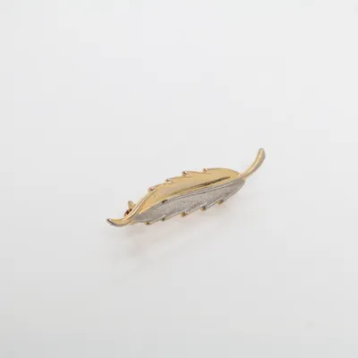 Broche (Goud, Zilver) Onbekend materiaal