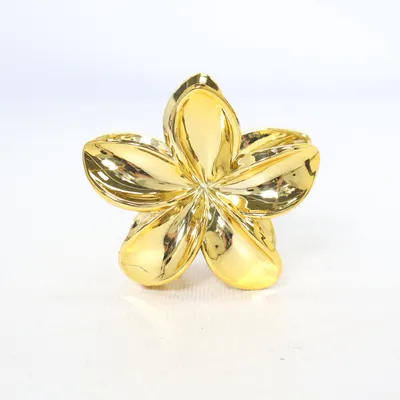 Hair clamp (Gold)