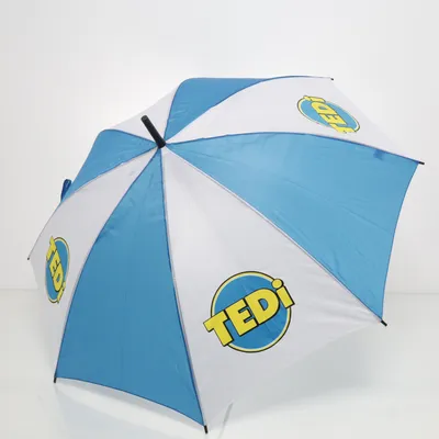 Paraplu (Blauw, Wit) van Tedi