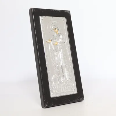 Icoon (Zwart, Zilver)