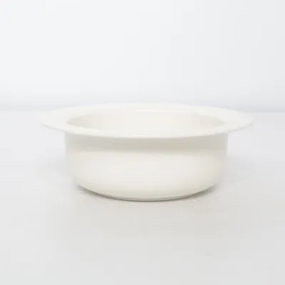 Bowl (Arctica) from Arabia