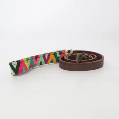 Leash (Brown, Multicolored)