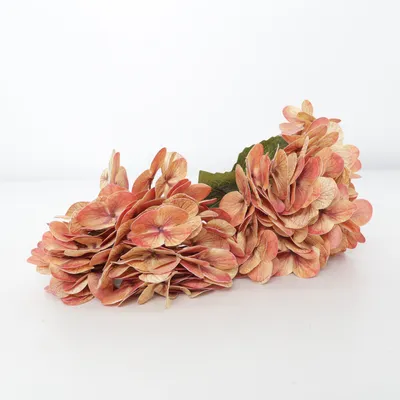 Kunstplant (Roze, Meerkleurig)