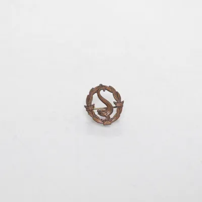 Broche (Bruin) Onbekend materiaal