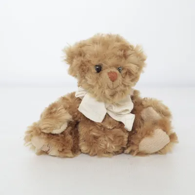 Peluche (Marron) de Bukowski